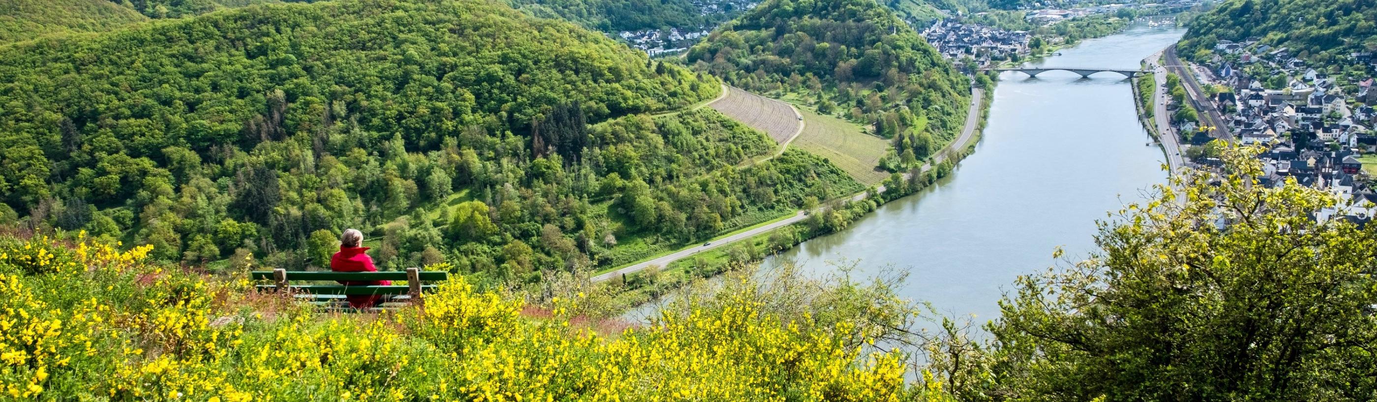 Aussichtspunkt auf dem Kardener Berg mit Blick auf Treis und Karden und die Mosel (c) Willi Probstfeld aus Kalt Aussichtspunkt auf dem Kardener Berg mit Blick auf Treis und Karden und die Mosel