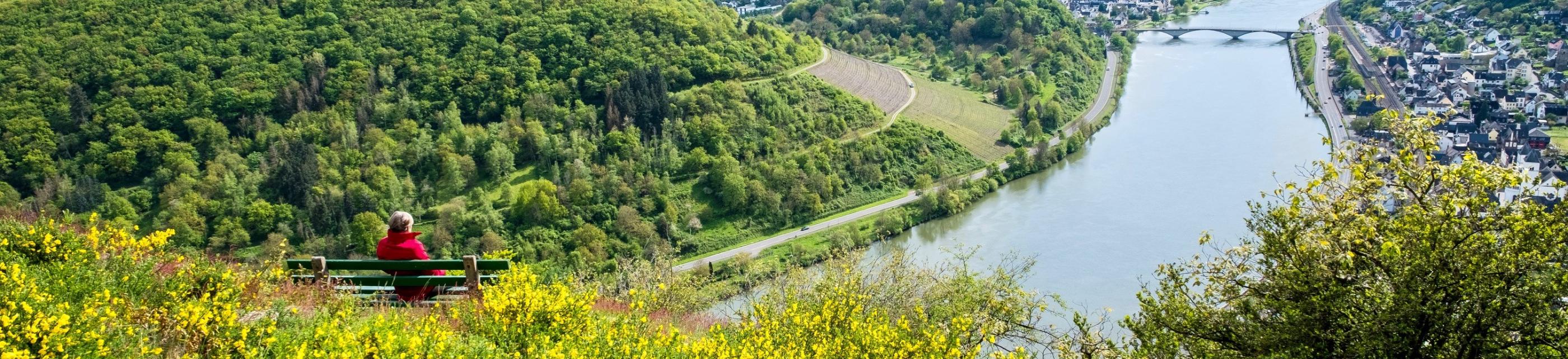 Aussichtspunkt auf dem Kardener Berg mit Blick auf Treis und Karden und die Mosel