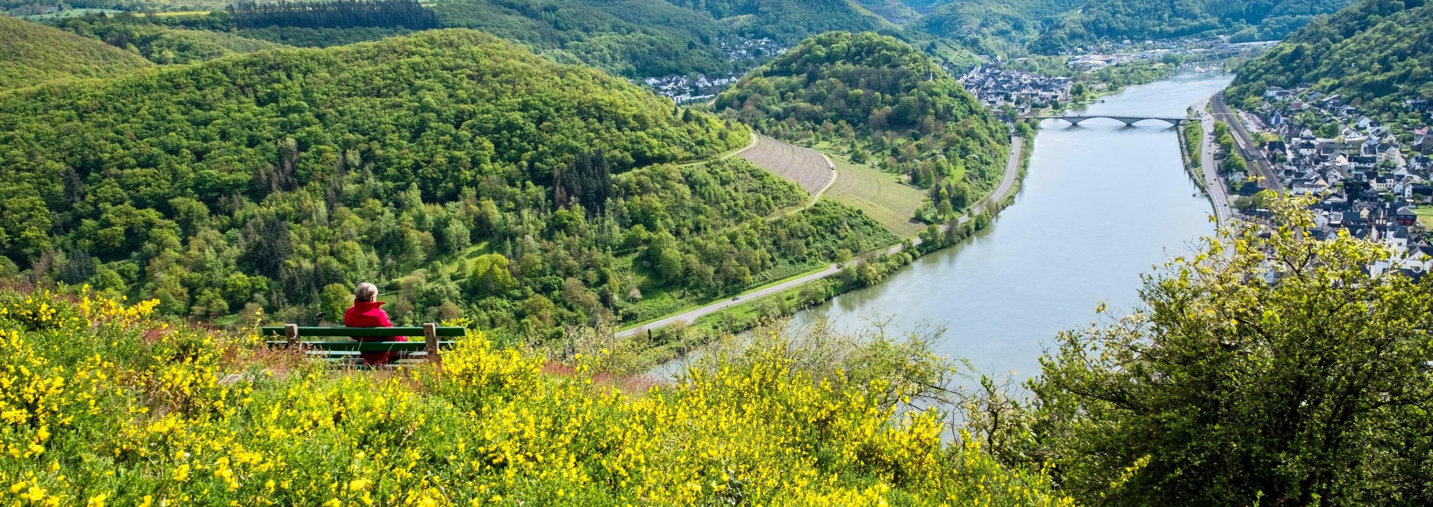 Aussichtspunkt auf dem Kardener Berg mit Blick auf Treis und Karden und die Mosel (c) Willi Probstfeld aus Kalt Aussichtspunkt auf dem Kardener Berg mit Blick auf Treis und Karden und die Mosel