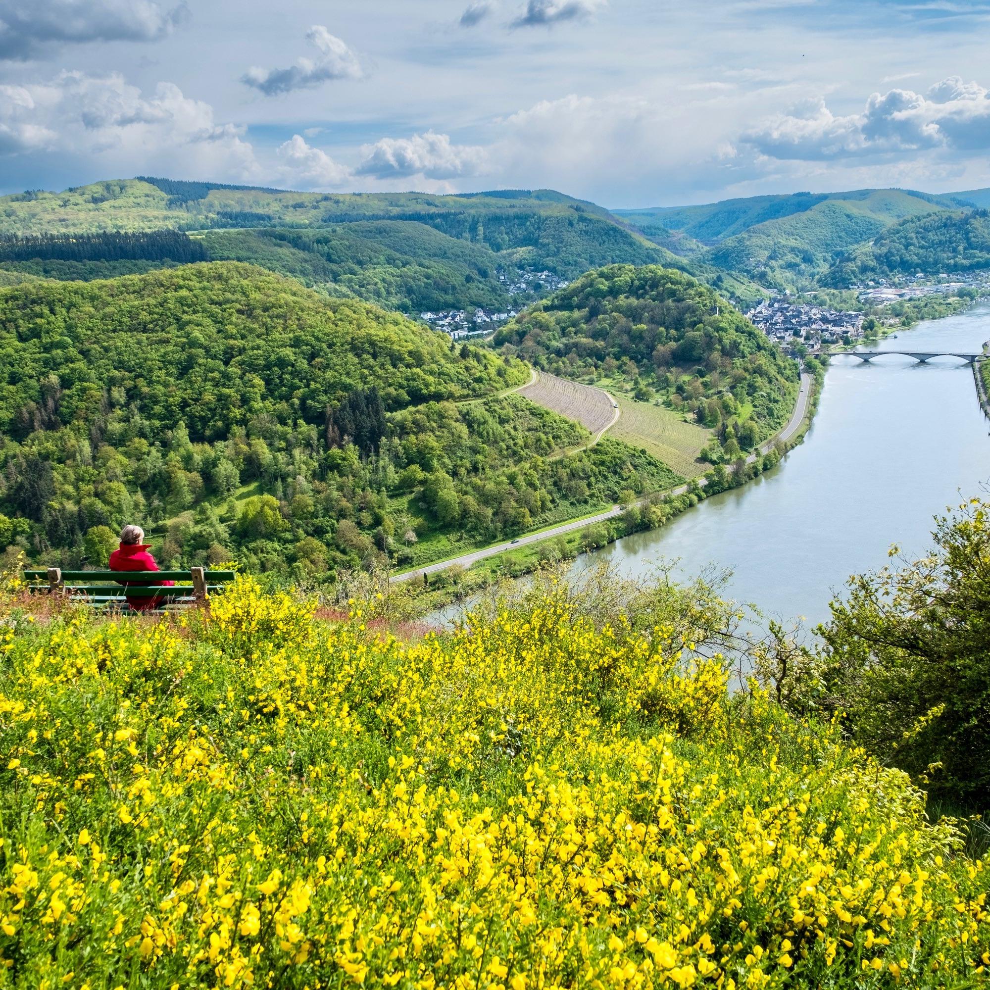 Aussichtspunkt auf dem Kardener Berg mit Blick auf Treis und Karden und die Mosel