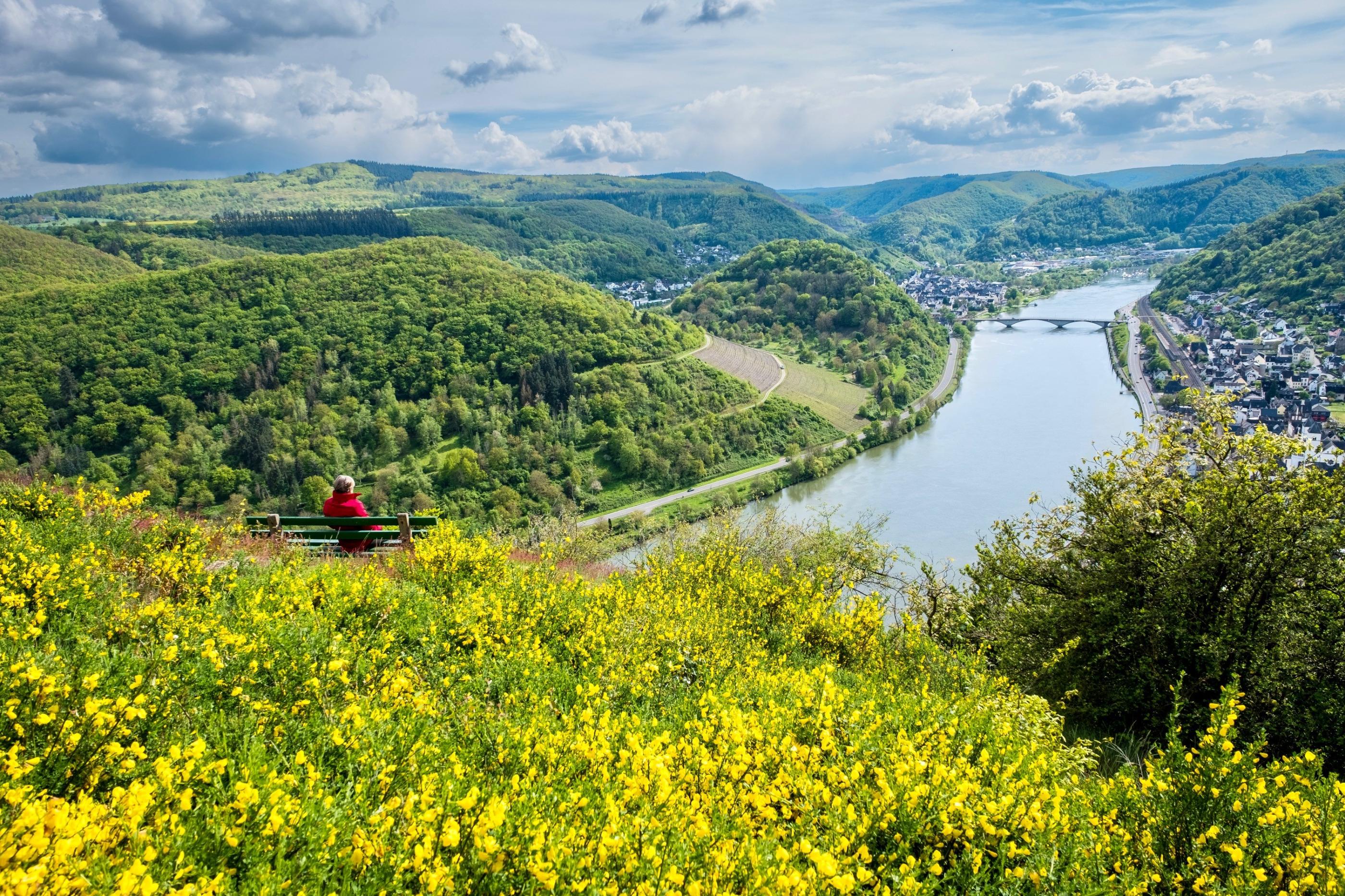 Aussichtspunkt auf dem Kardener Berg mit Blick auf Treis und Karden und die Mosel